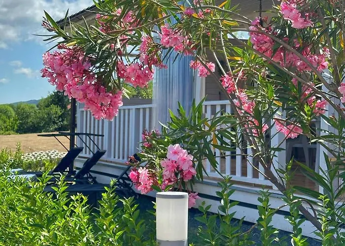 каравани дрийм арапя * 茨雷沃