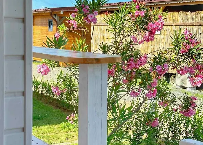 营地 каравани дрийм арапя