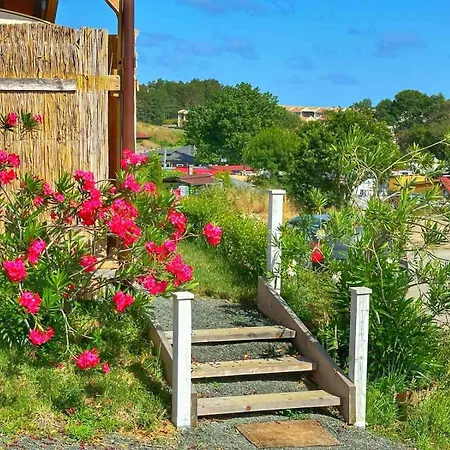 Campingplatz каравани дрийм арапя