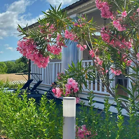 каравани дрийм арапя * Zarewo