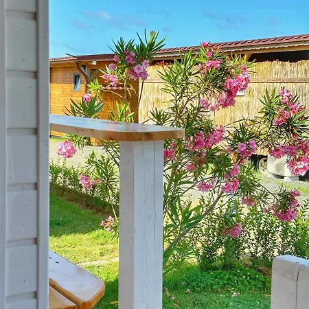 Campingplatz каравани дрийм арапя