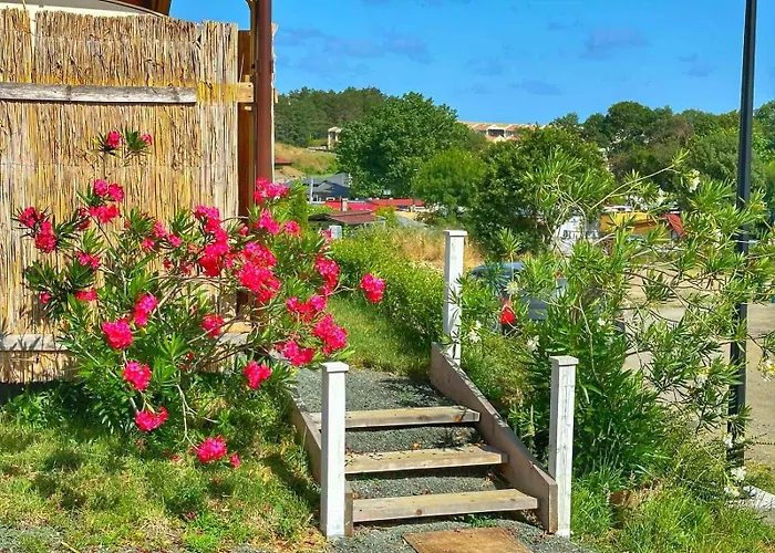 Campsite каравани дрийм арапя