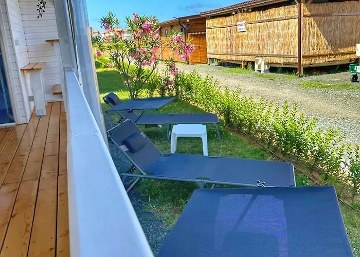 каравани дрийм арапя