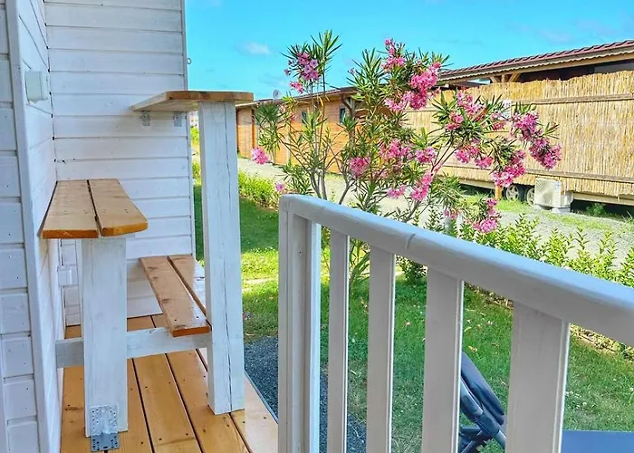 каравани дрийм арапя *